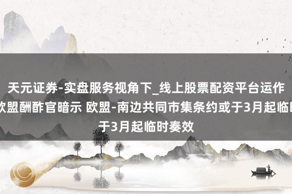 天元证券-实盘服务视角下_线上股票配资平台运作解析 欧盟酬酢官暗示 欧盟-南边共同市集条约或于3月起临时奏效